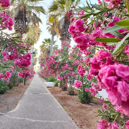 Atico En Parque Santiago I