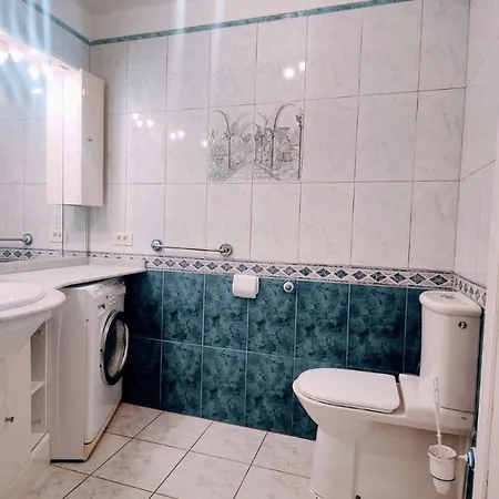 Apartment Atico En Parque Santiago I